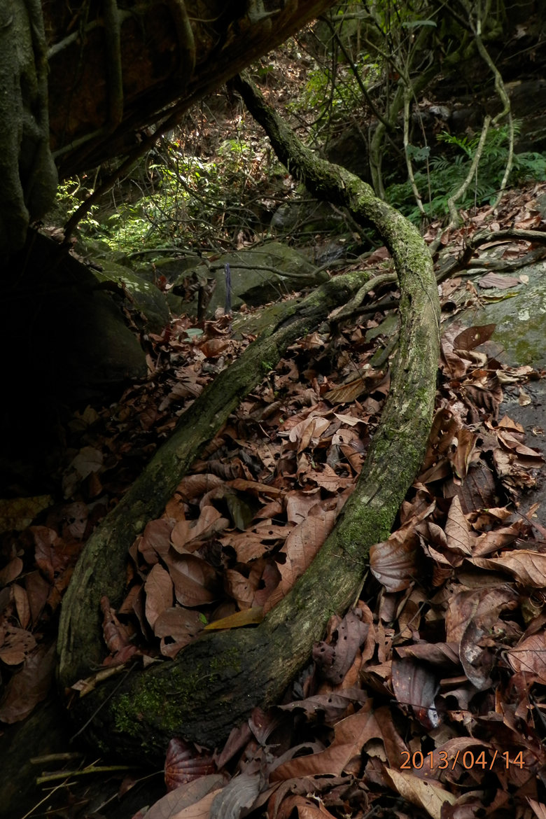 P4141298.JPG