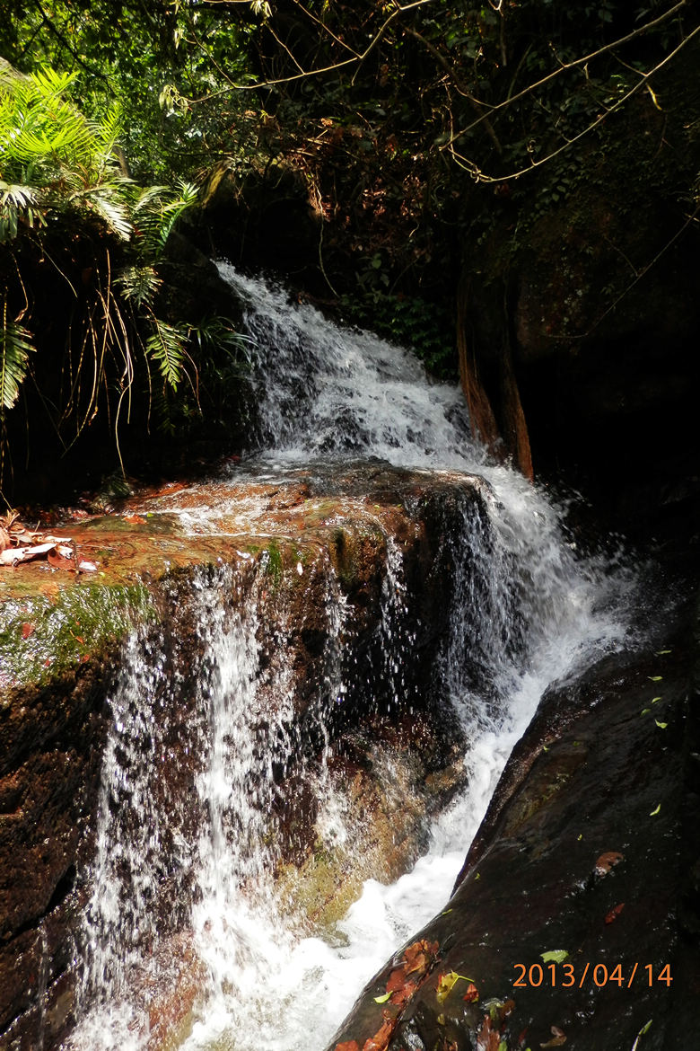 P4141187.JPG