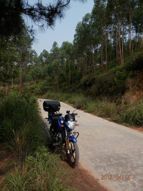 P4141338.jpg