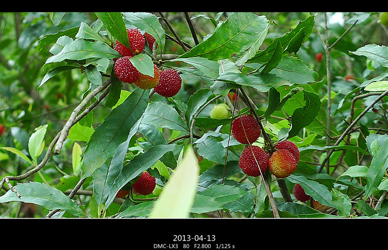 P1020850_副本_副本.jpg