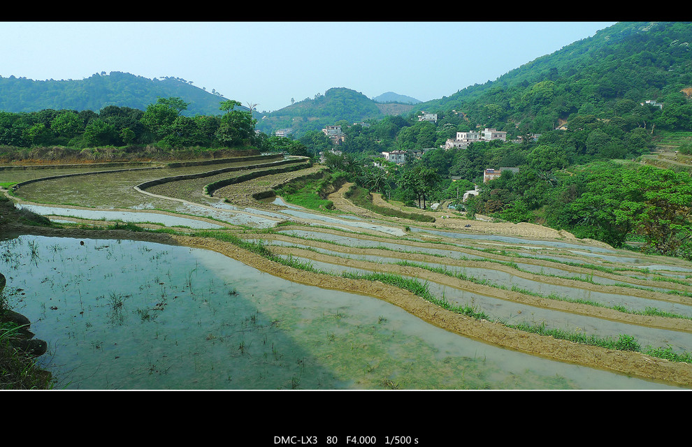 P1020939_副本.jpg
