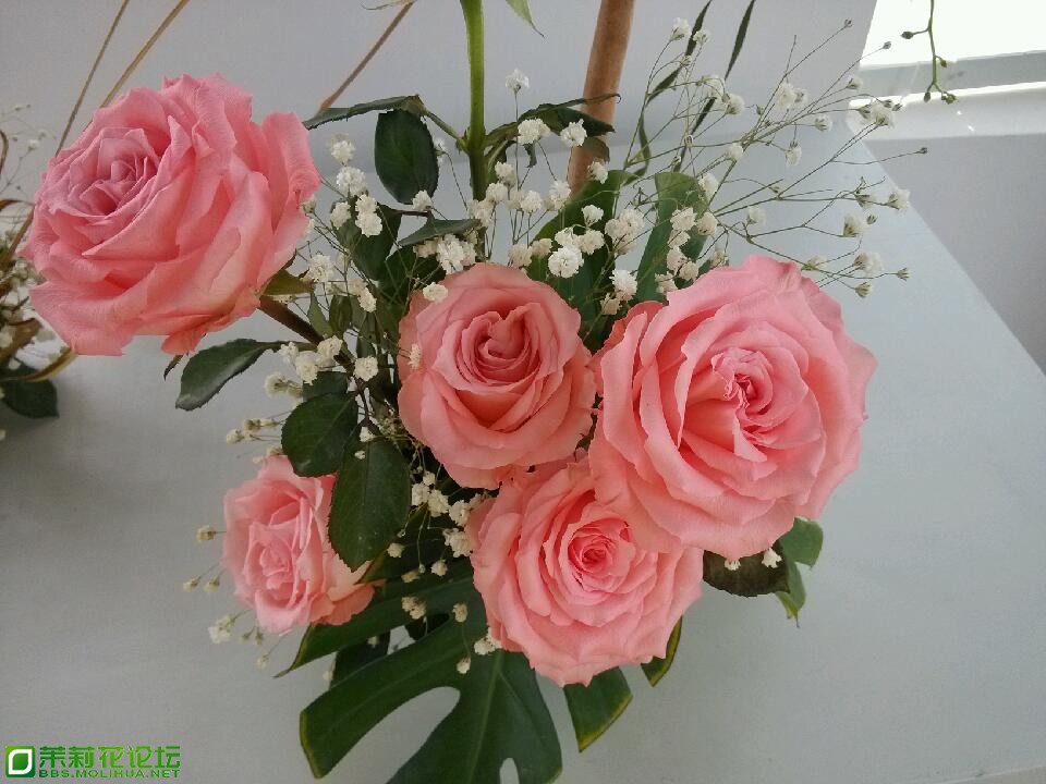 IMG_20130206_134007 - 副本.jpg