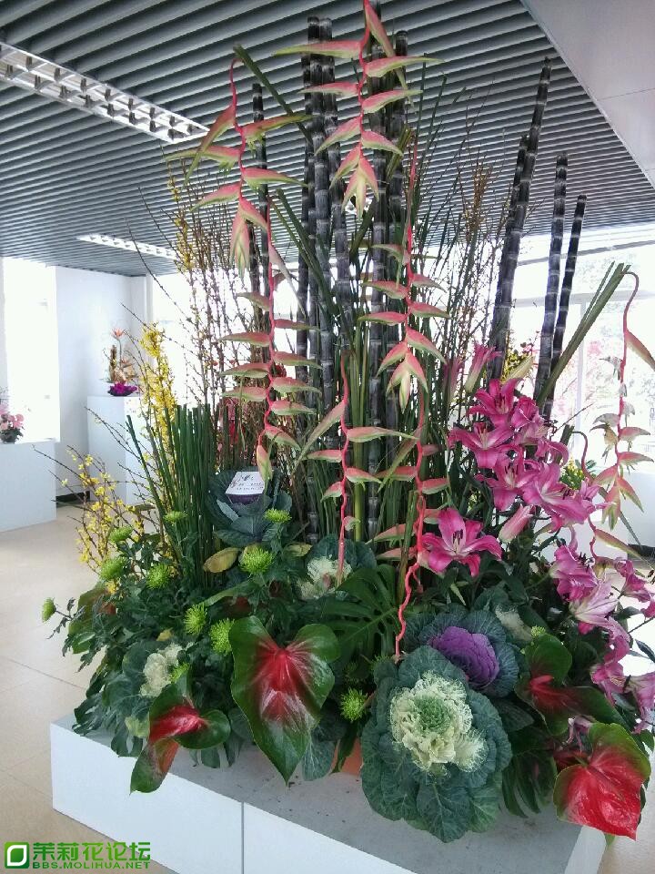 IMG_20130206_133843 - 副本.jpg