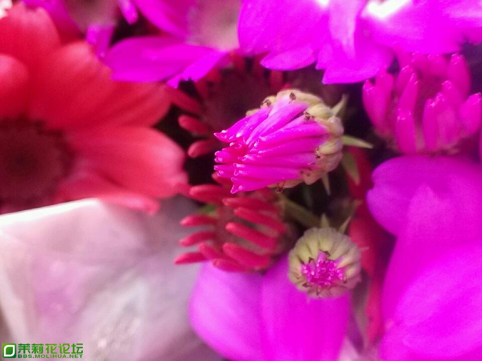 IMG_20130206_133329 - 副本 - 副本 - 副本 - 副本.jpg
