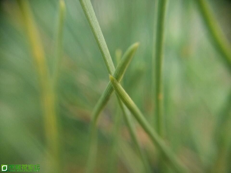 IMG_20130129_165543 - 副本 - 副本.jpg