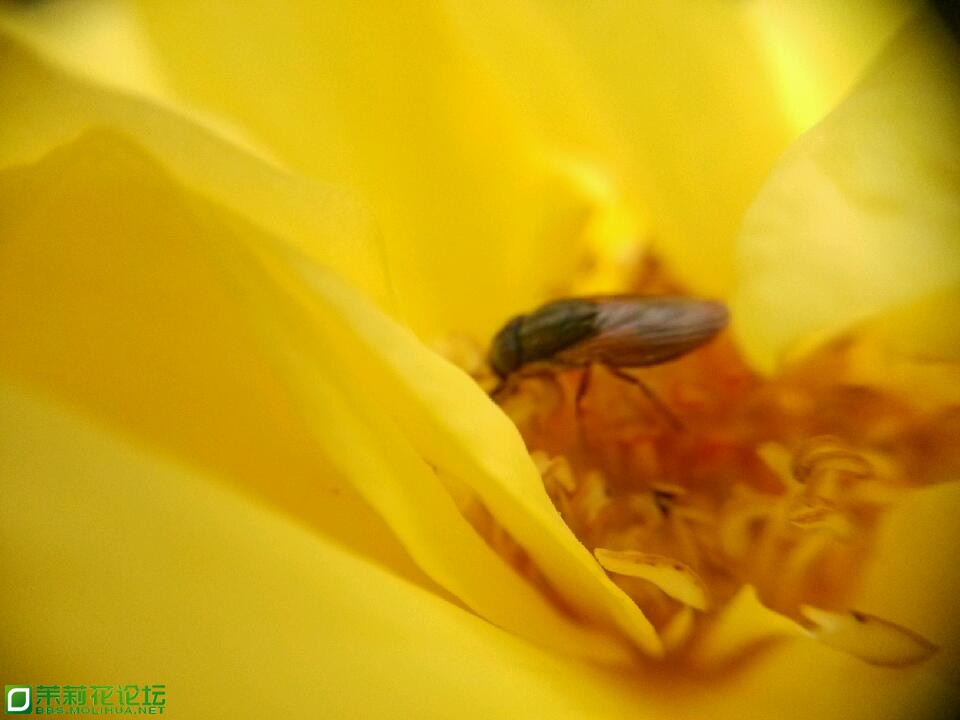 IMG_20130206_131605 - 副本 - 副本.jpg