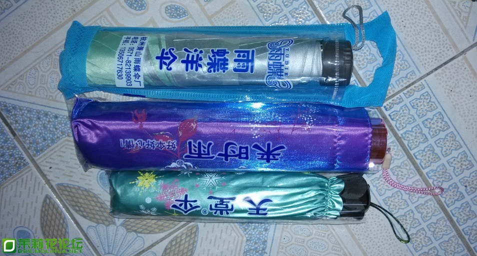 QQ图片20130417001259.jpg