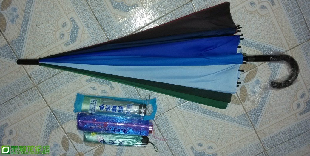 QQ图片20130417001311.jpg