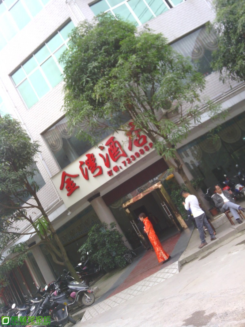 金 (2).jpg