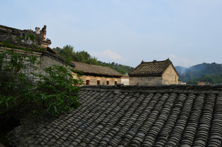 152939n13edar55q72717a.jpg
