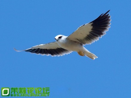 2fdda3cc7cd98d10a503ef76213fb80e7aec90a6.jpg