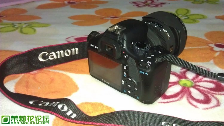 IMAG0739.jpg