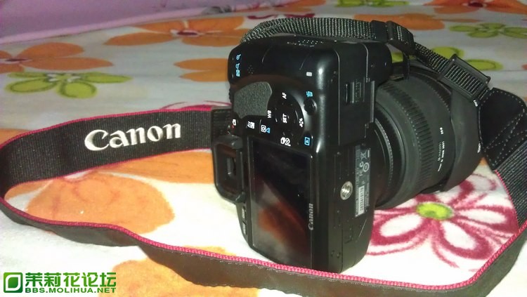 IMAG0740.jpg