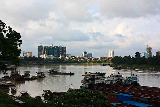 IMG_5020.jpg