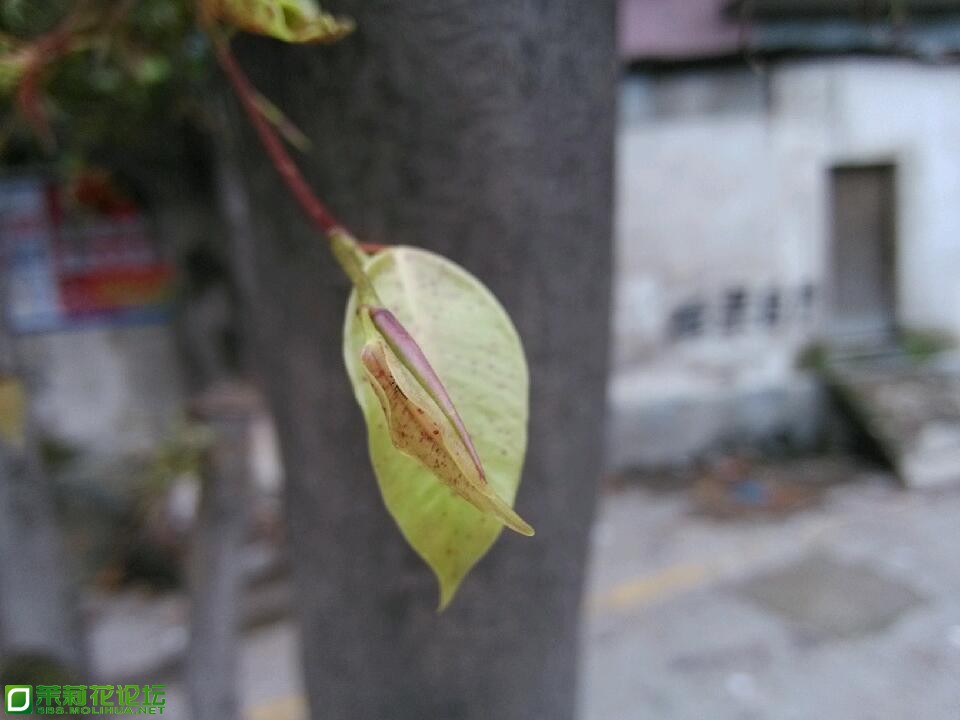 IMG_20130426_165702.jpg