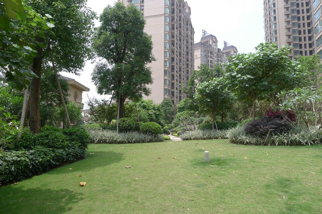 P1020071.JPG