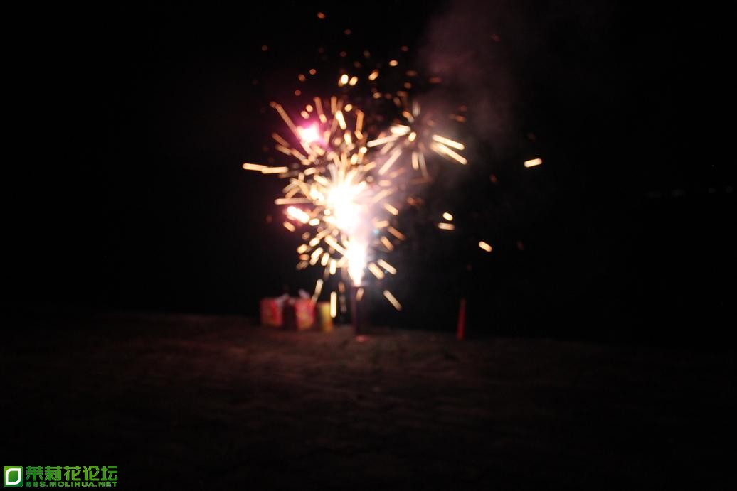 IMG_6610_s.JPG