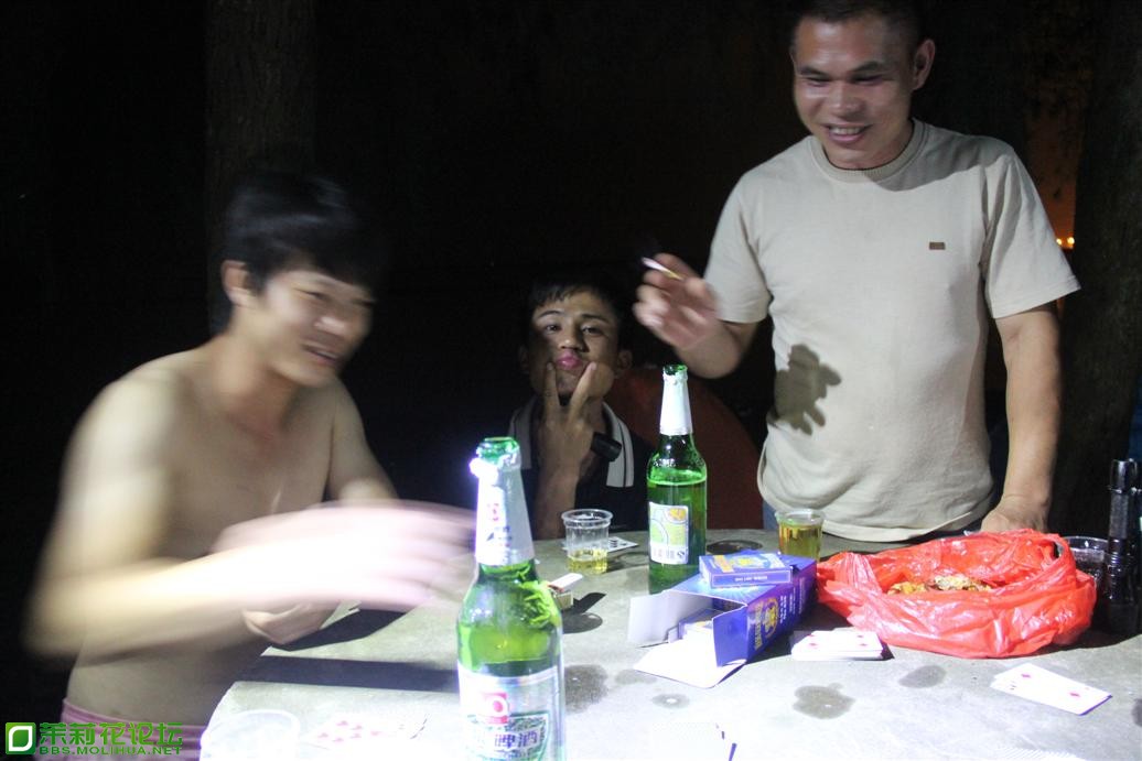 IMG_6617_s.JPG