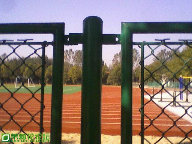 1302765884.jpg