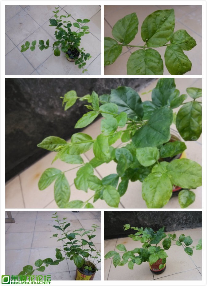 pt2013_05_06_16_57_46.jpg