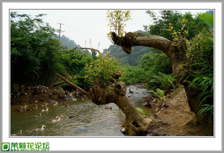 DSC00166_副本1.jpg
