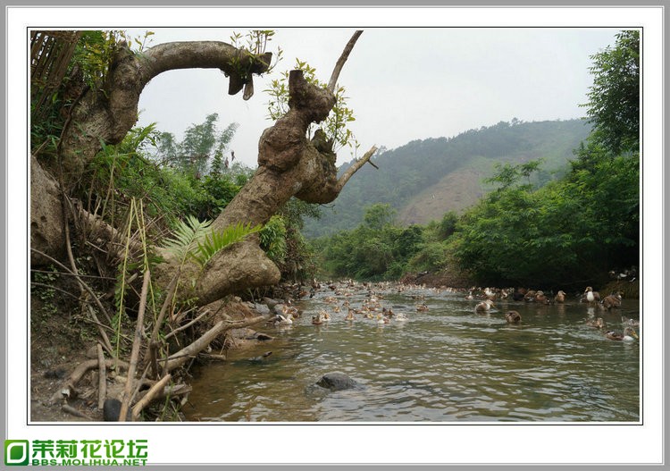 DSC00174_副本.jpg