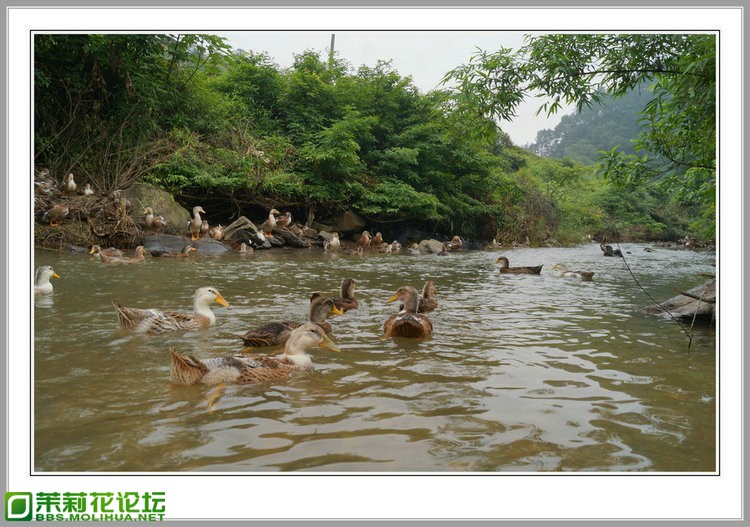 DSC00185_副本.jpg