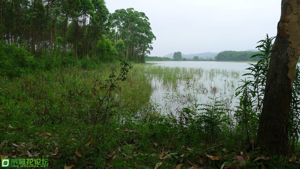 P1020238.JPG