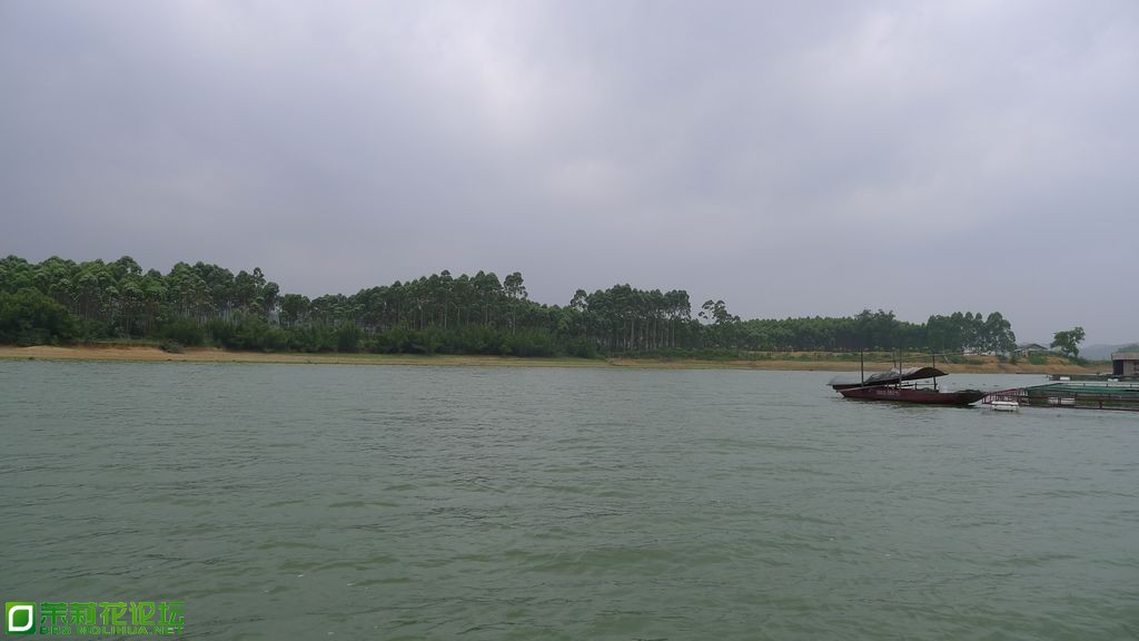 P1020262.JPG