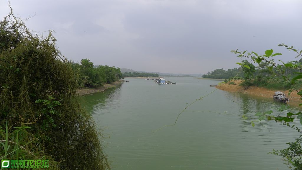 P1020268.JPG