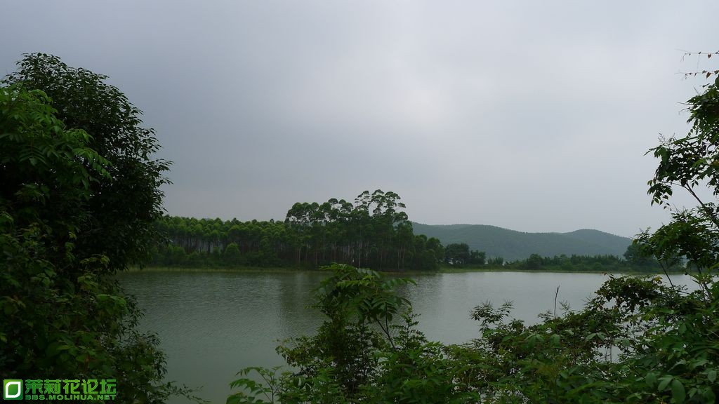 P1020278.JPG