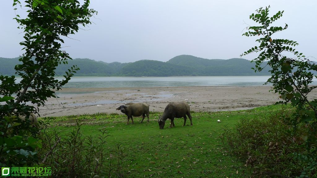 P1020290.JPG