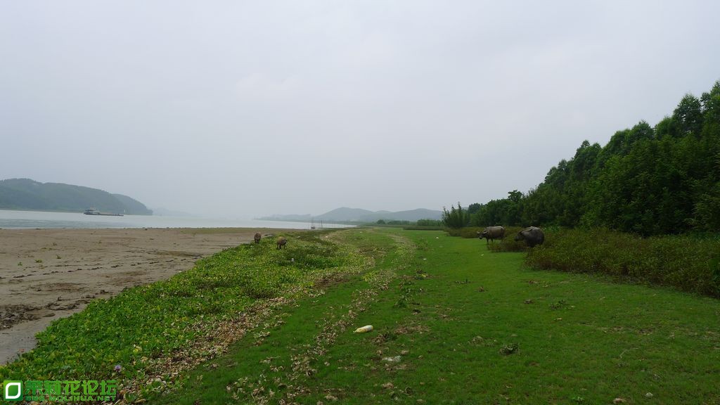 P1020291.JPG