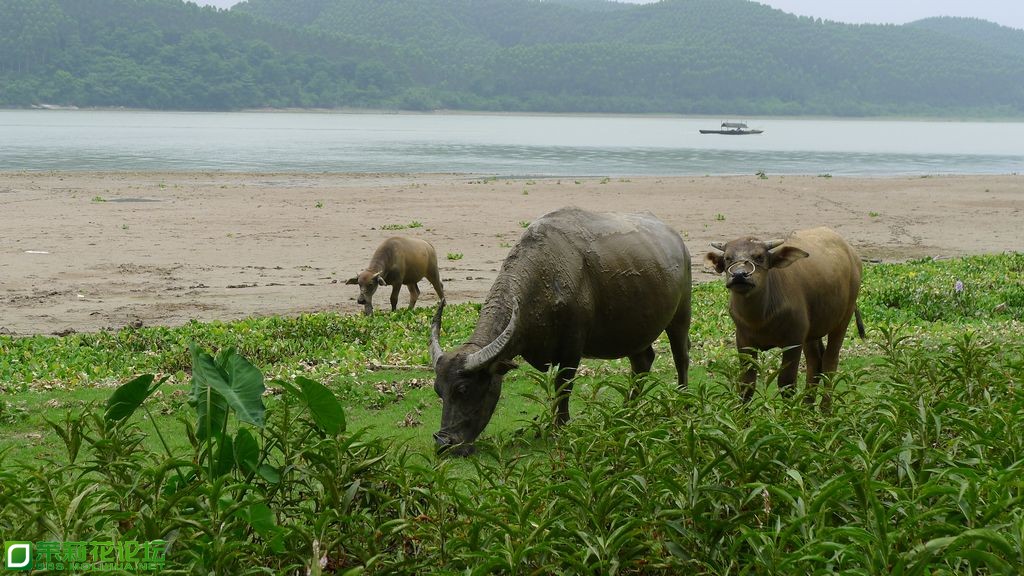 P1020300.JPG