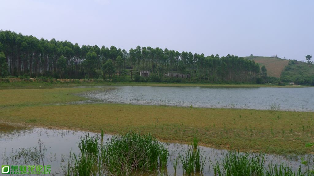P1020305.JPG