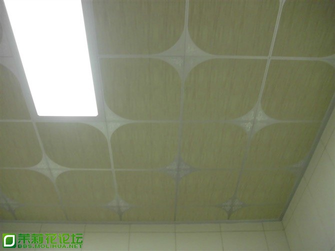 TIMG_390885262.55247.JPG