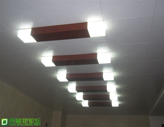 TIMG_390885296.14455.JPG