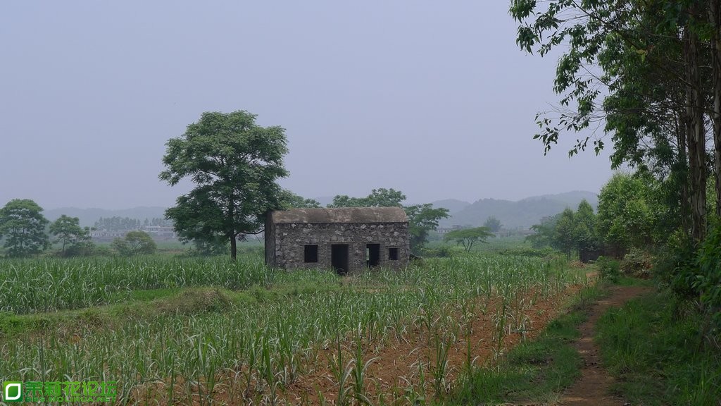 P1020324.JPG