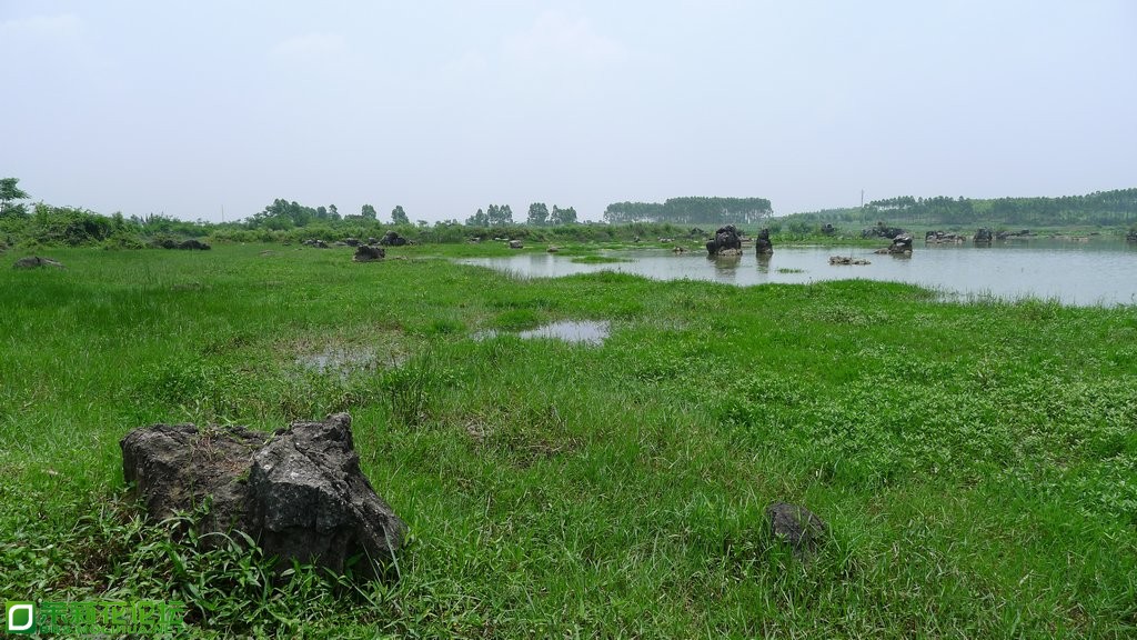 P1020327.JPG