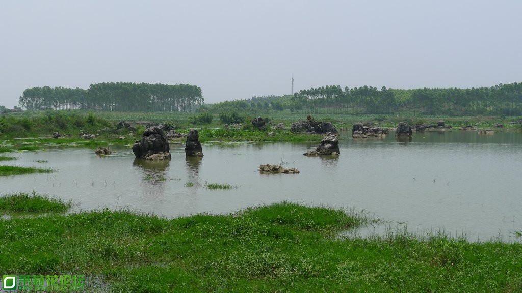 P1020329.JPG