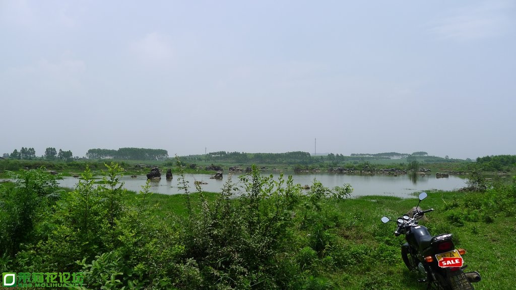 P1020331.JPG