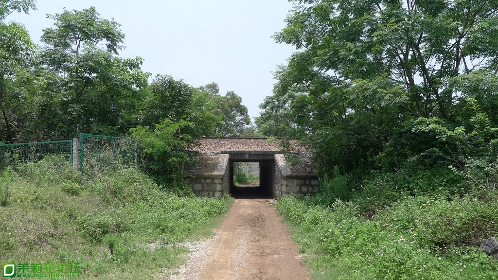 P1020333.JPG