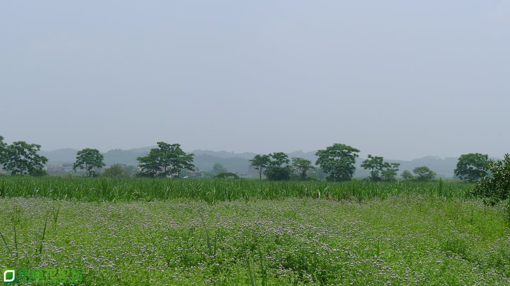 P1020341.JPG