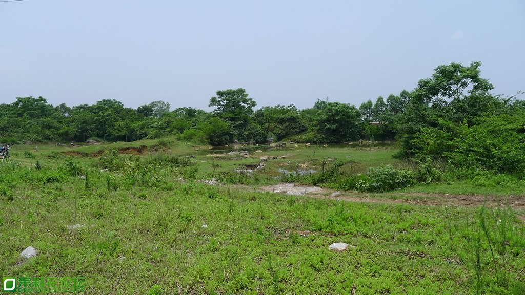 P1020344.JPG