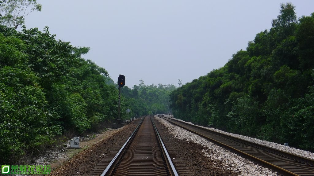 P1020345.JPG