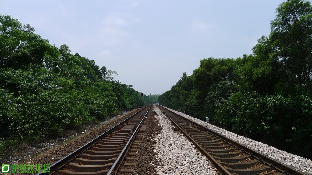 P1020346.JPG