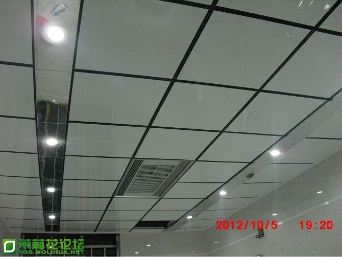 TIMG_390994631.03896.JPG