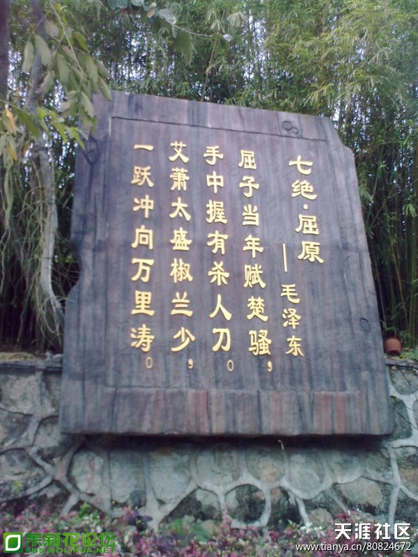 144595204.jpg