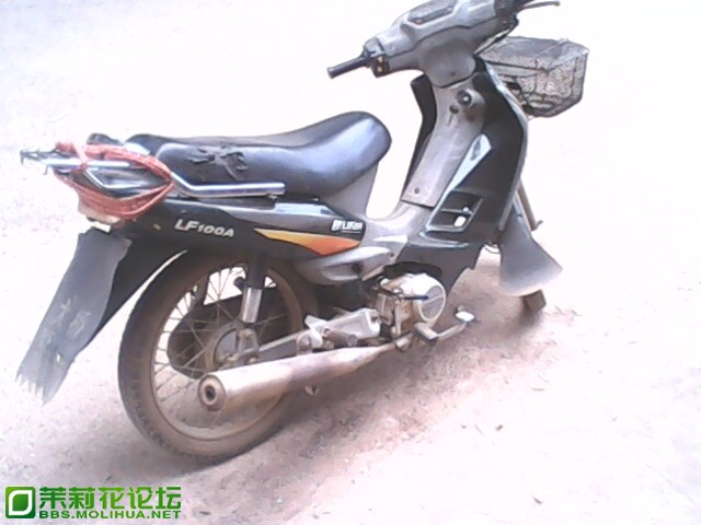 IMG0020A.jpg