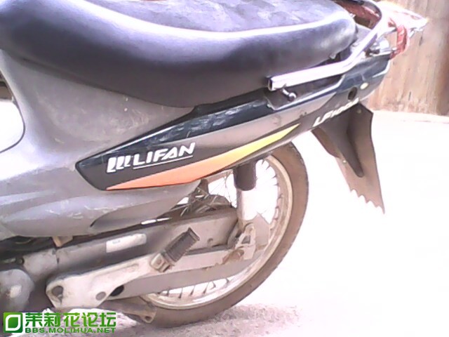 IMG0022A.jpg